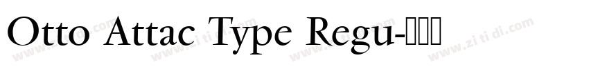 Otto Attac Type Regu字体转换